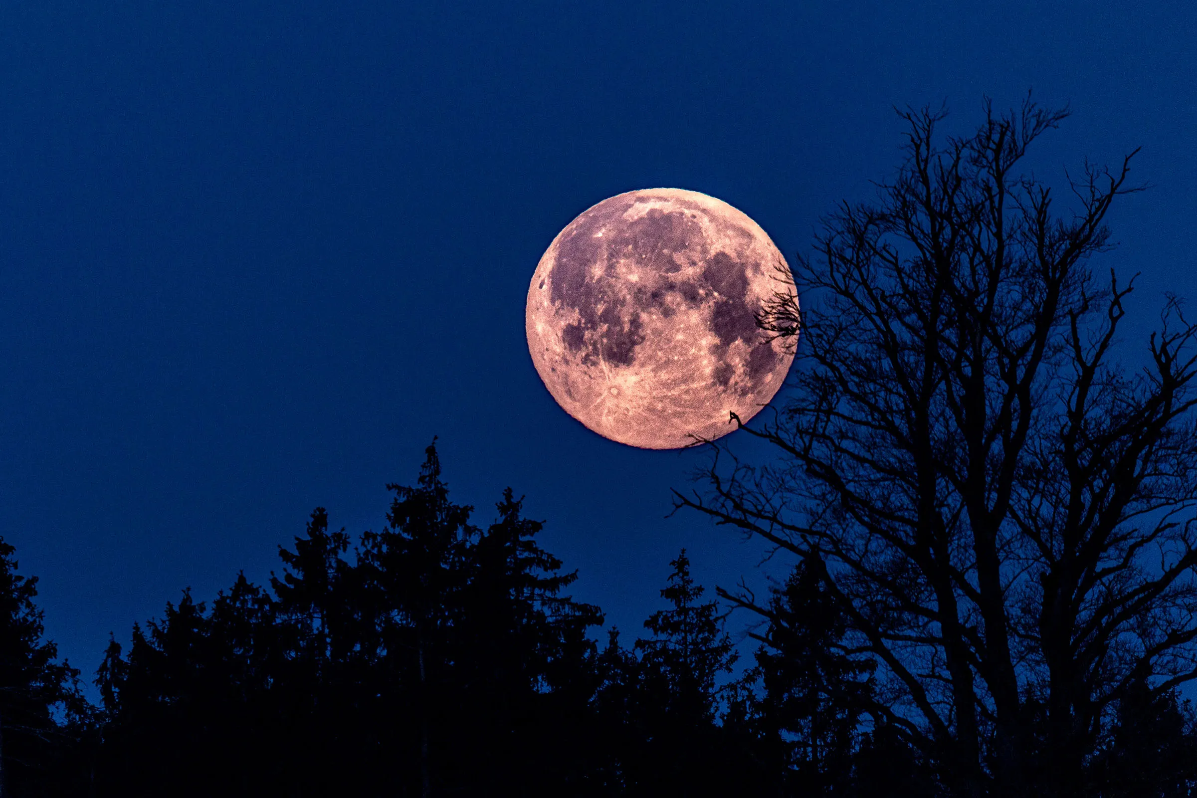 Is It a Full Moon Tonight? A Guide to Understanding the Lunar Phases